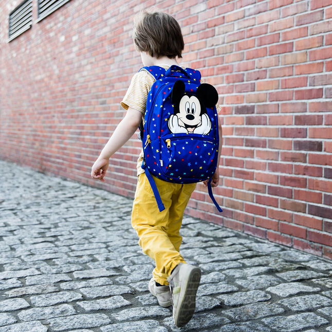 Disney | Ireland Ultimate Samsonite Backpack 2.0 S+